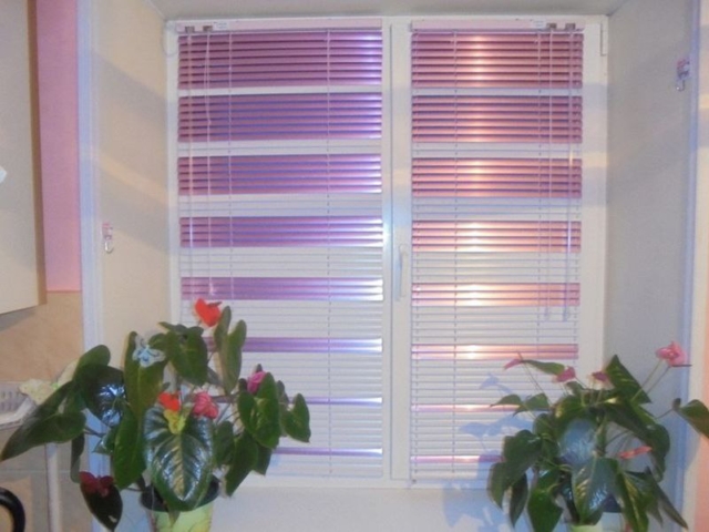 photo_6_2024-04-29_10-51-49