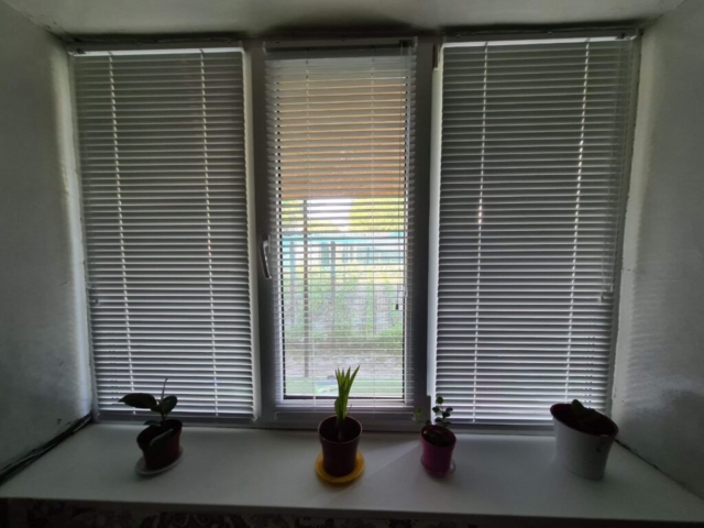 photo_6_2024-04-29_10-52-00